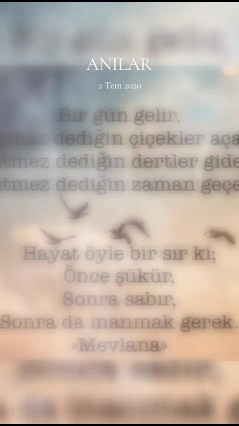 @zeliş