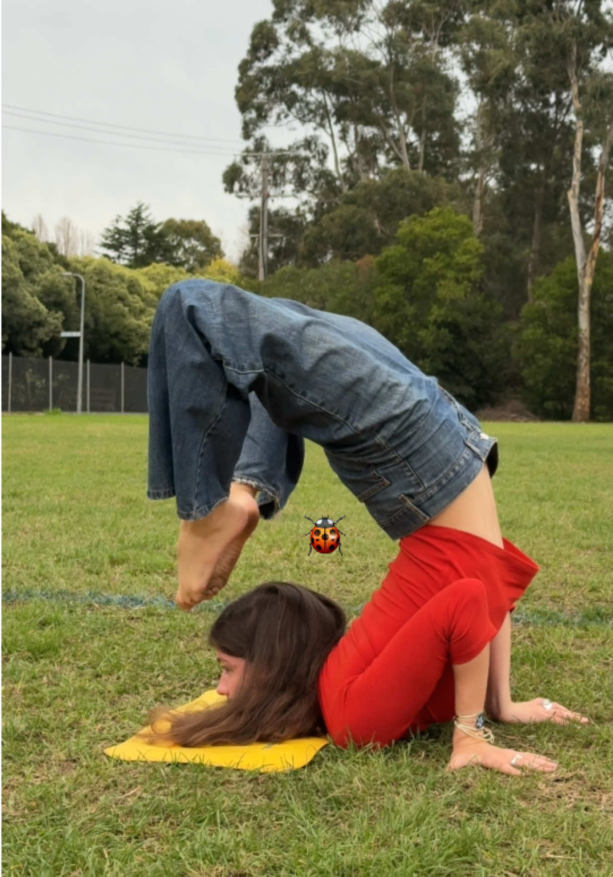 @🪷<3