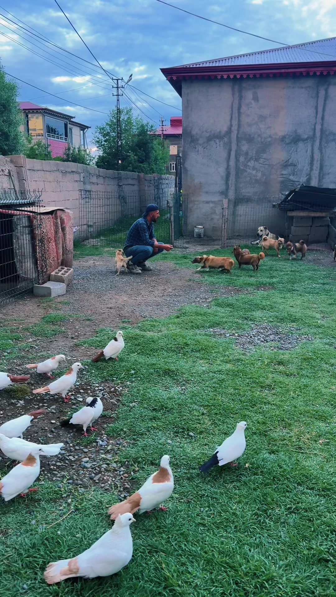 @Bülent Yılmaz