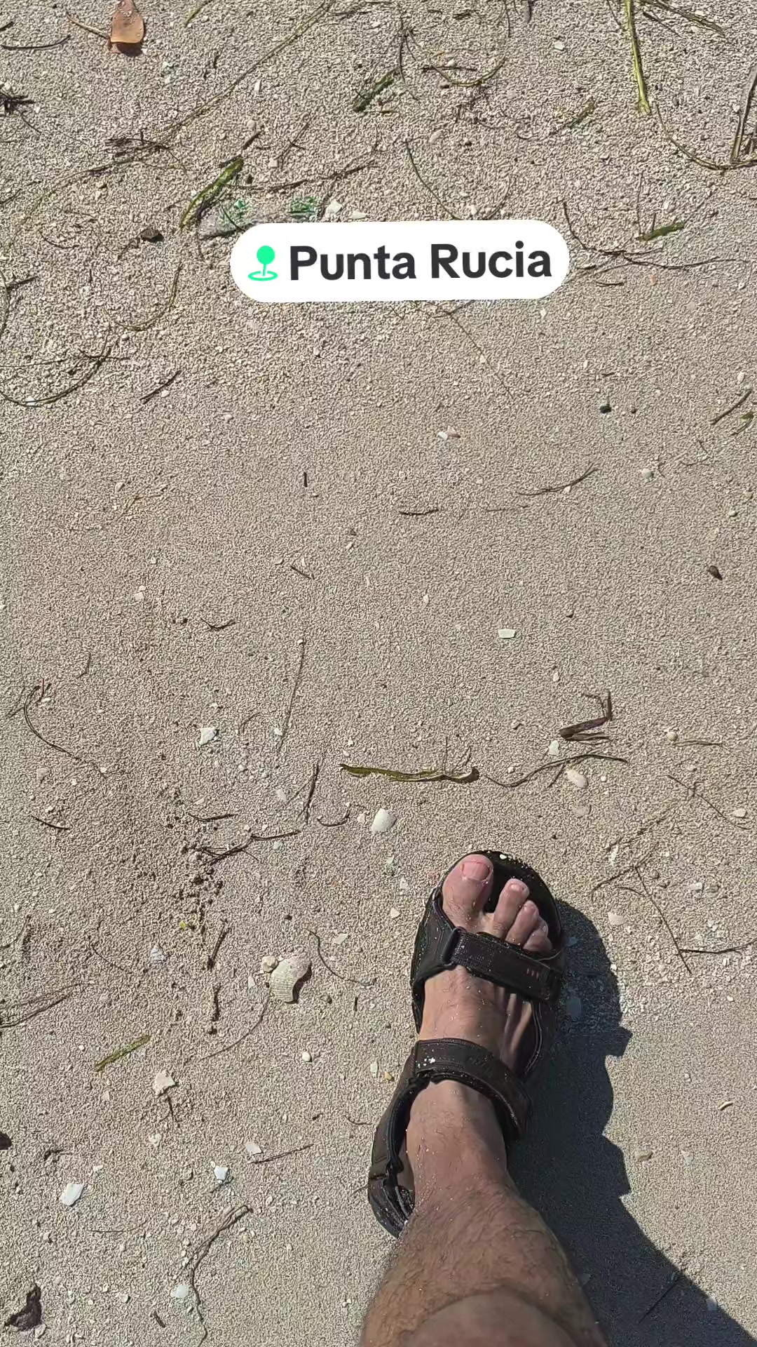@Jose Aragon Laguna