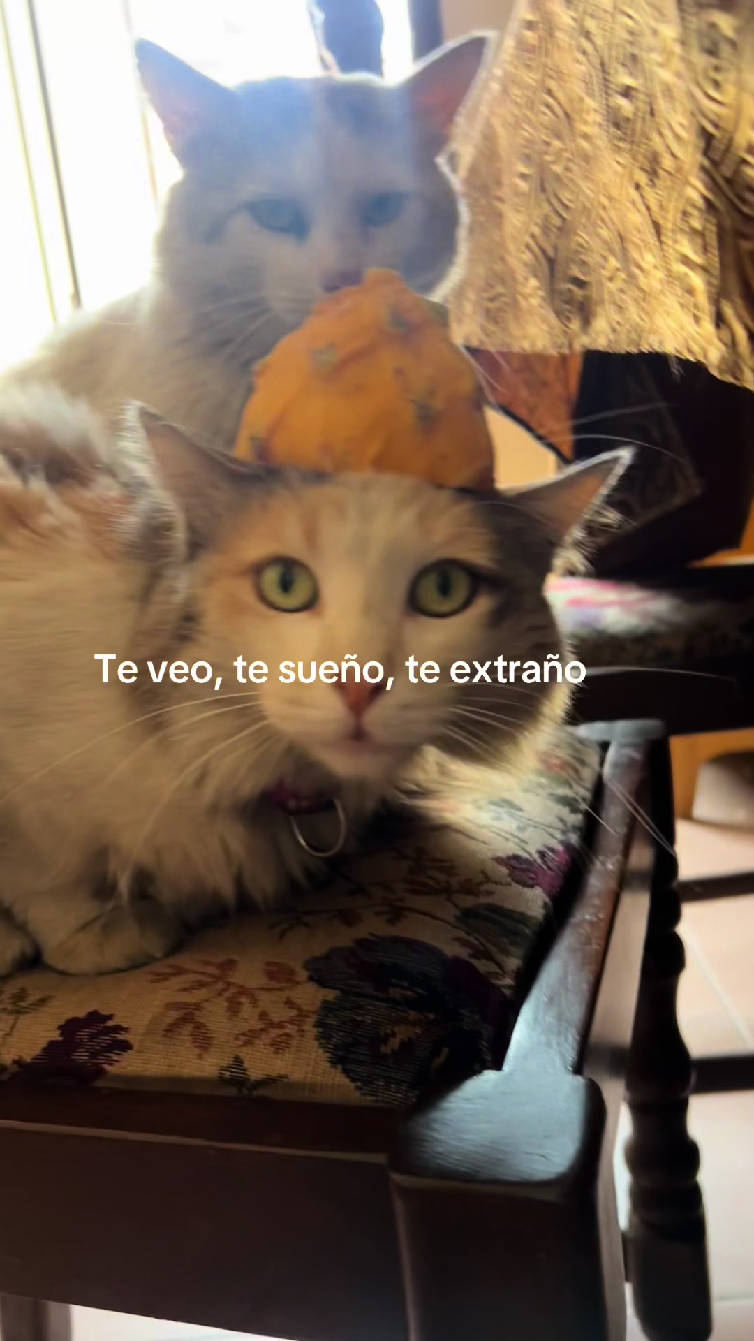 @Lucía <3