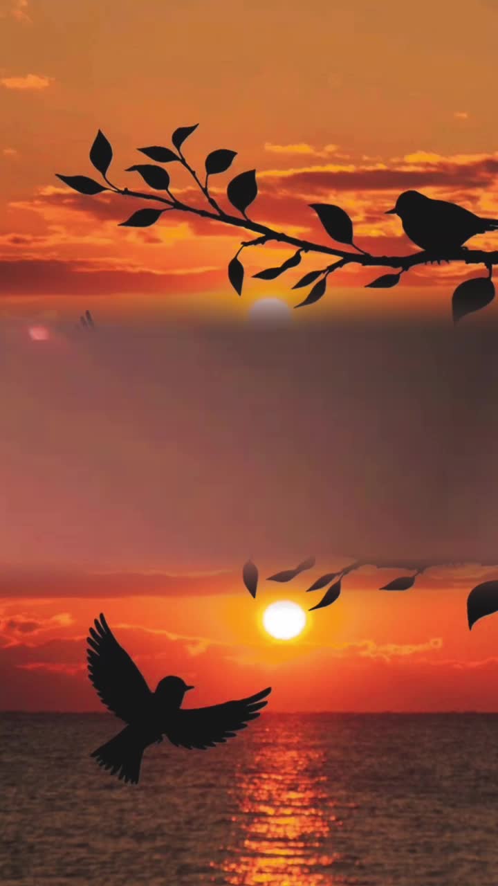 @☆꧁✬◦&deg;˚&deg;◦. 𝓐𝓶𝓶𝓾.◦&deg;˚&deg;◦✬꧂☆