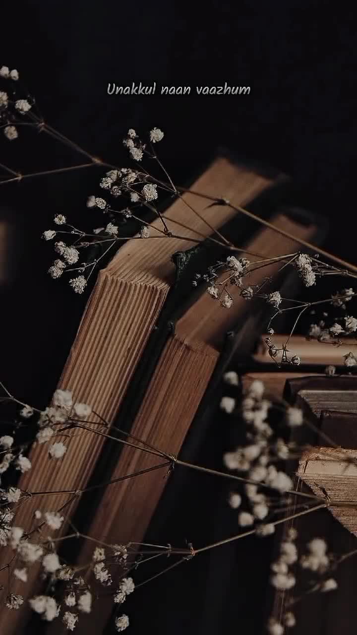 @♠︎ʙʟᴀᴄᴋ ʟᴏᴠᴇʀ♠︎