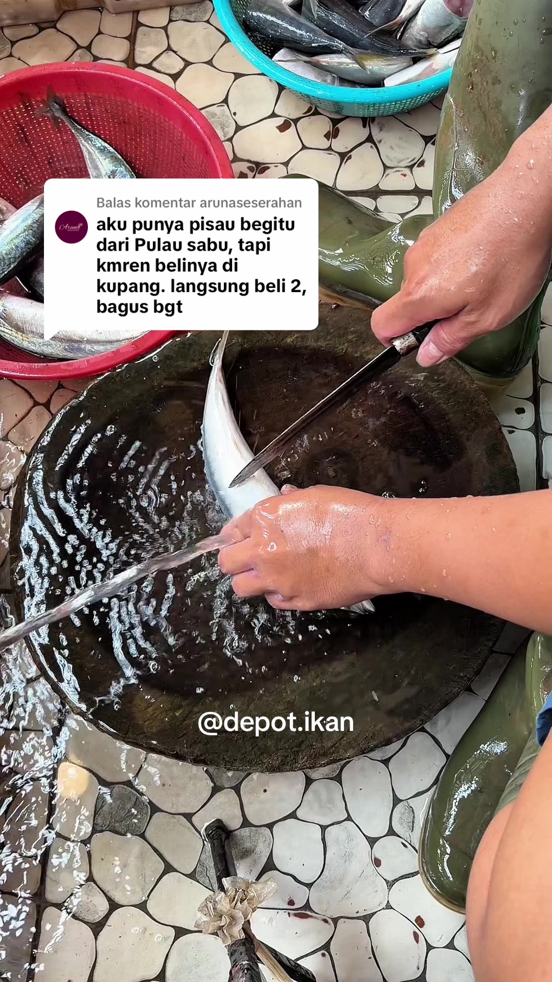 @Depot Ikan