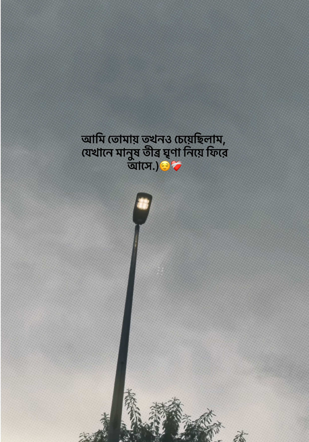 @❏ 𝗔𝗙𝗝𝗔𝗟'🐼
