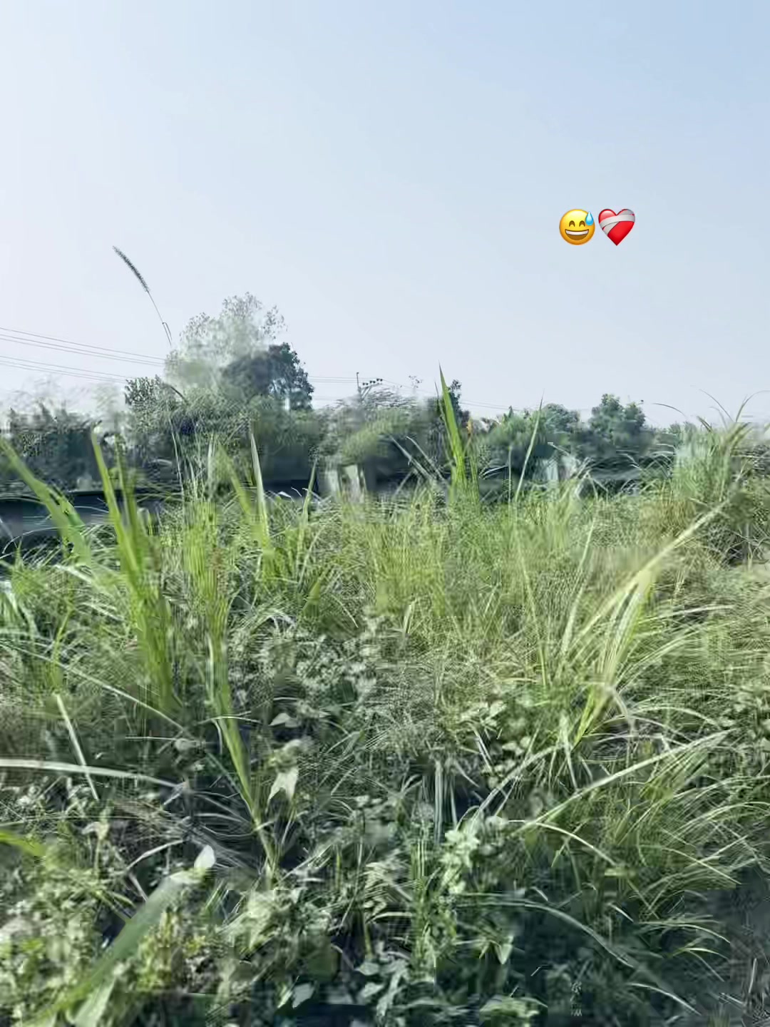 @-ᴅᴀɪꜱʏ-🌼