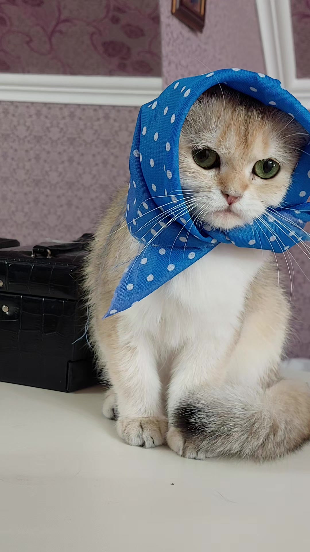 @Zoo_JASMİN🦂🥰
