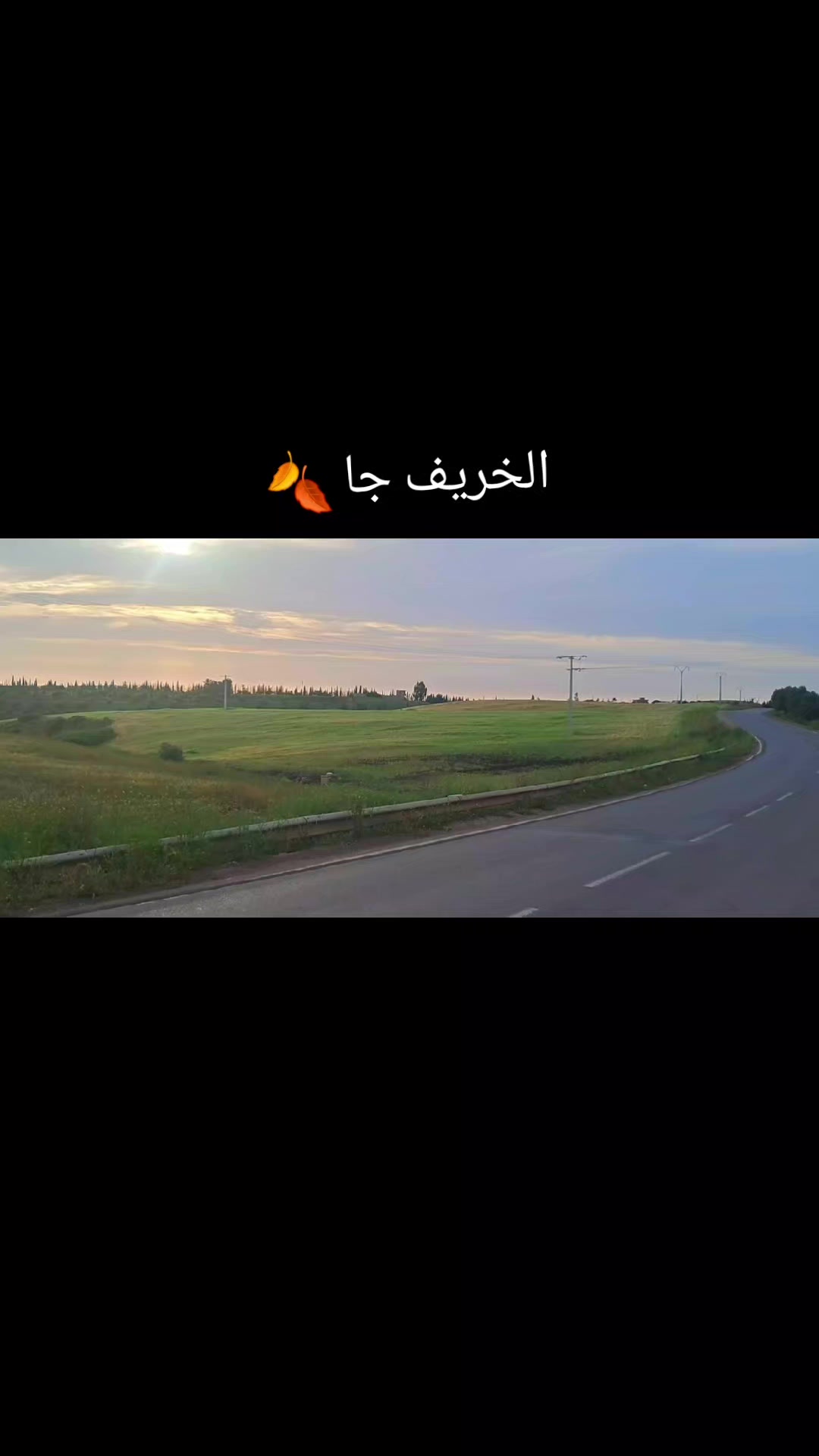 @Lina🐬13