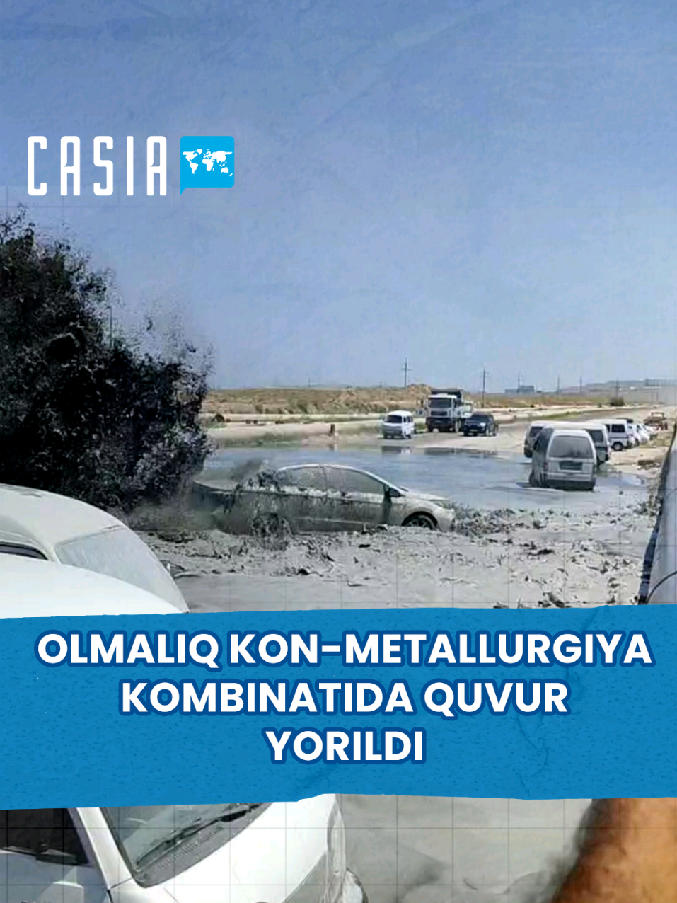 @Casia