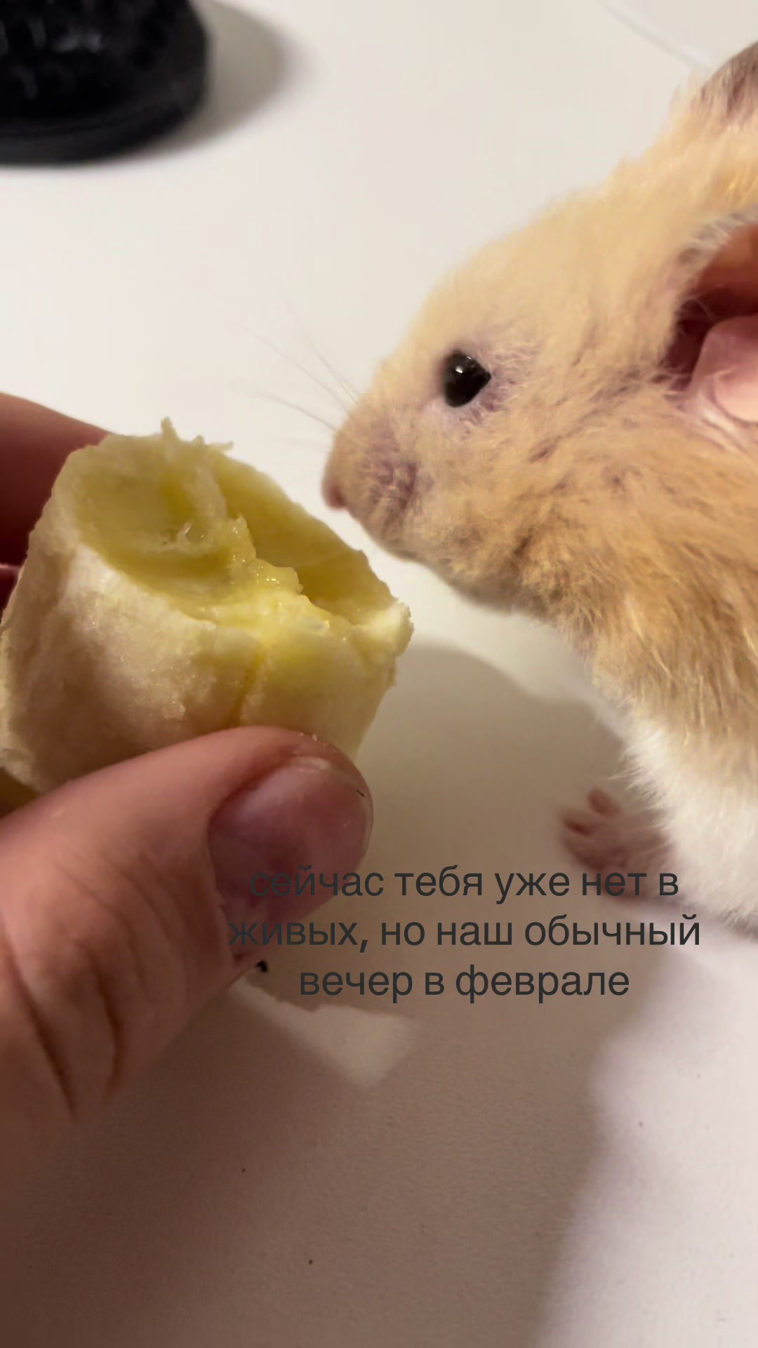 @нiщяз@й0с🐰