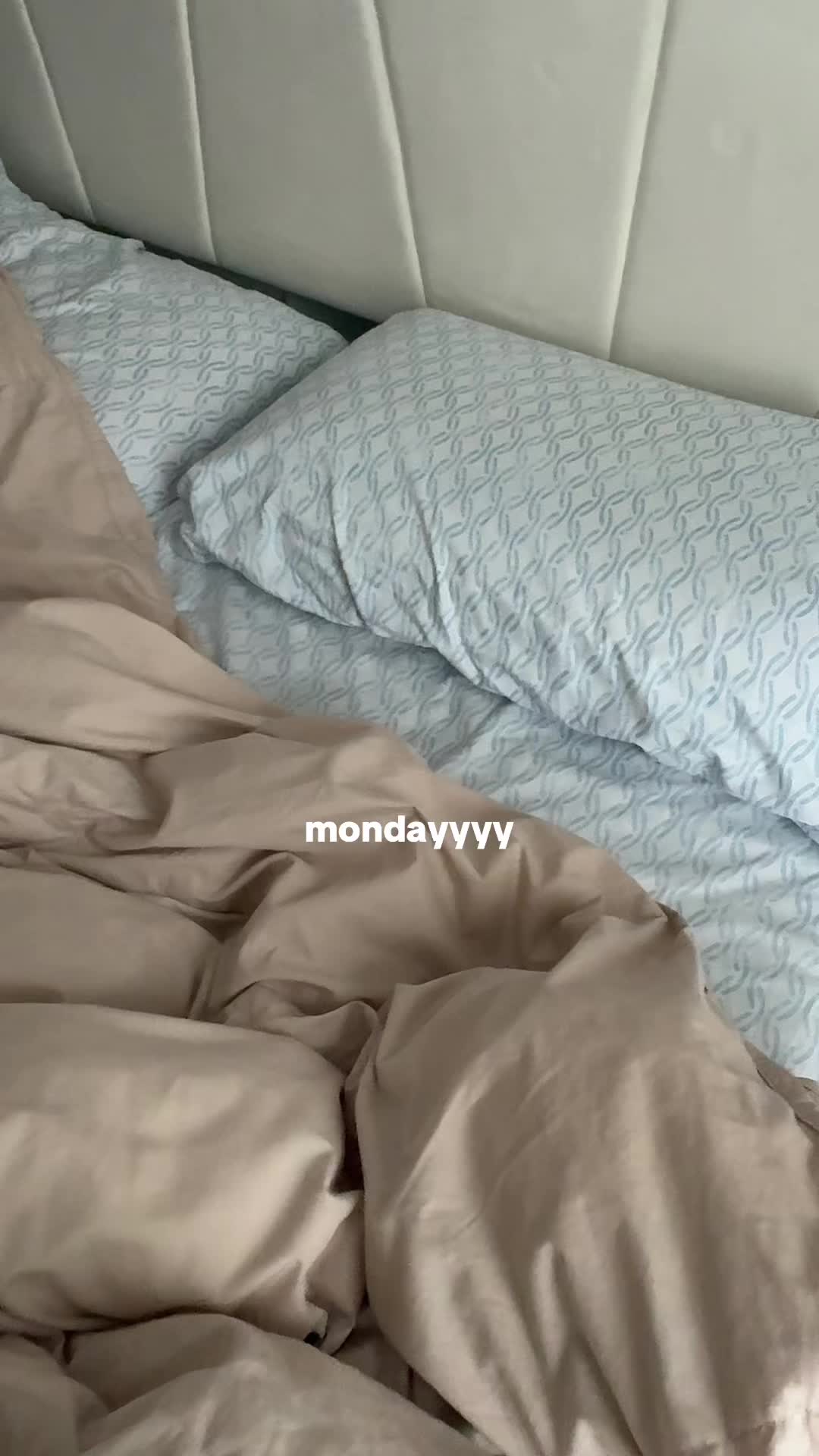 @mayarjirjees