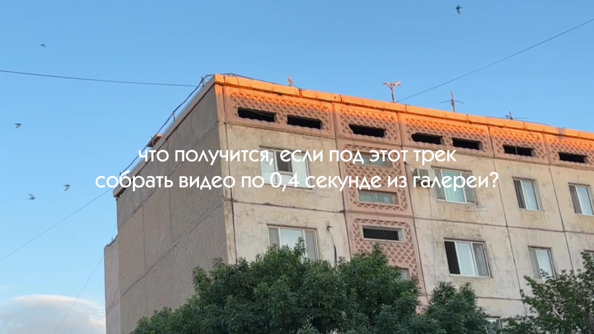 @TiFo4ka♻️