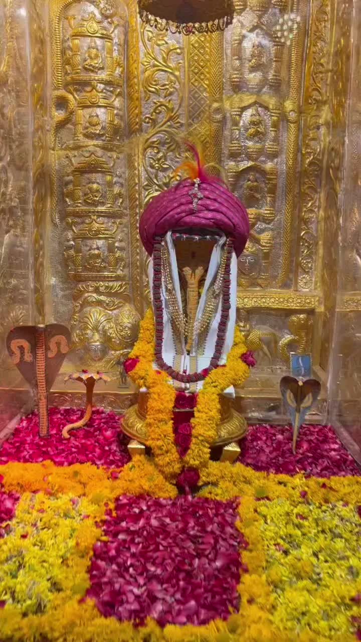 @Nick chaudhari1 🇮🇳 🇺🇸