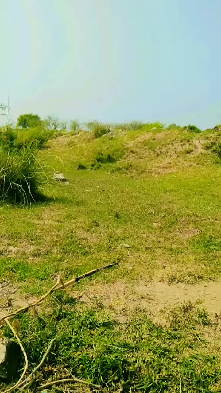 @jamalinasir15