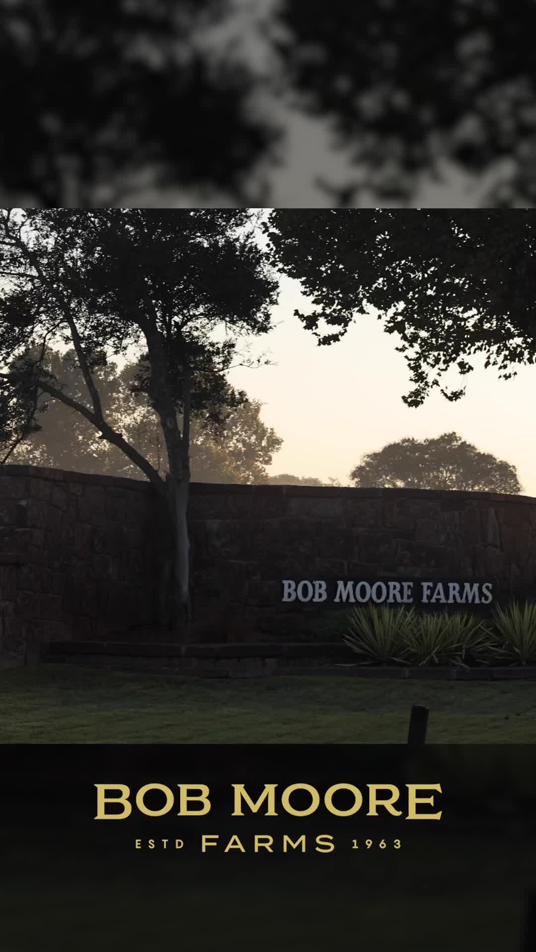 @Bob Moore Farms