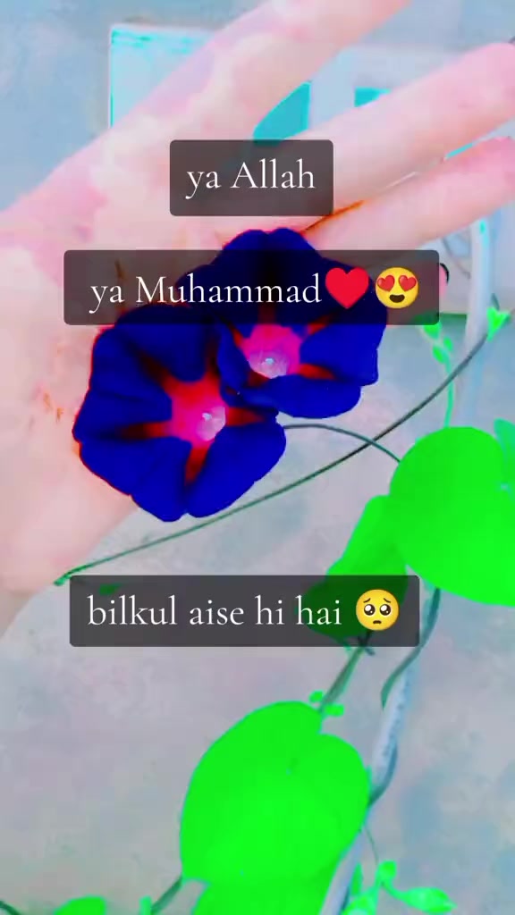 @sara khan