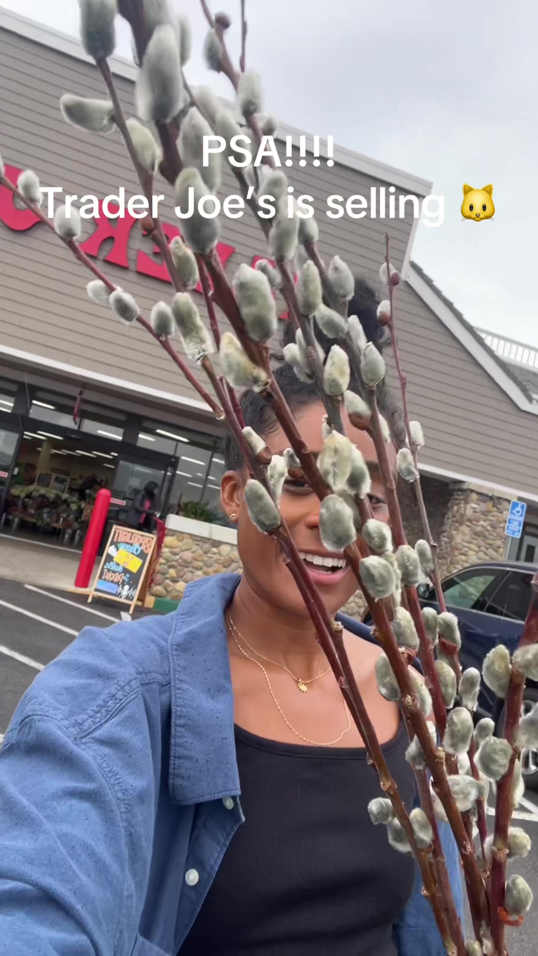 @jessreviewz