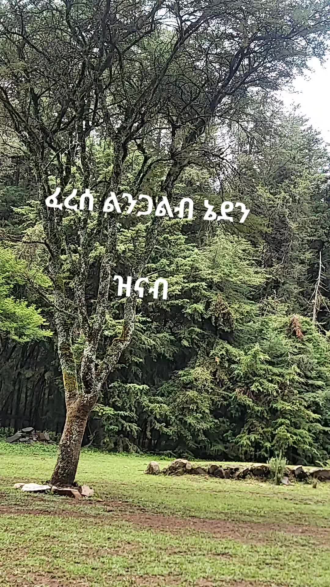 @Lidet mekonnen