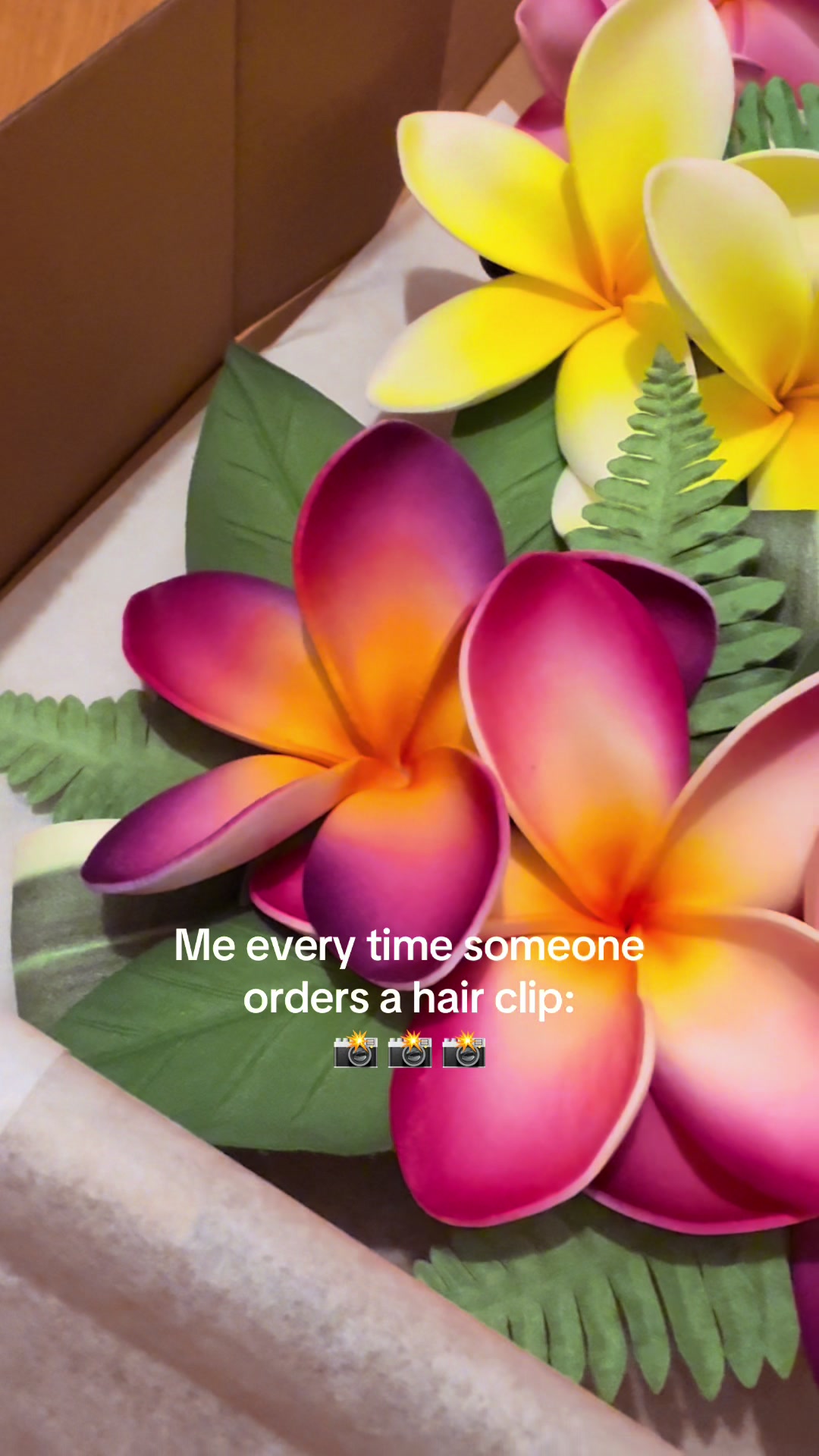 @Island Aesthetica 🌺 Pasifika