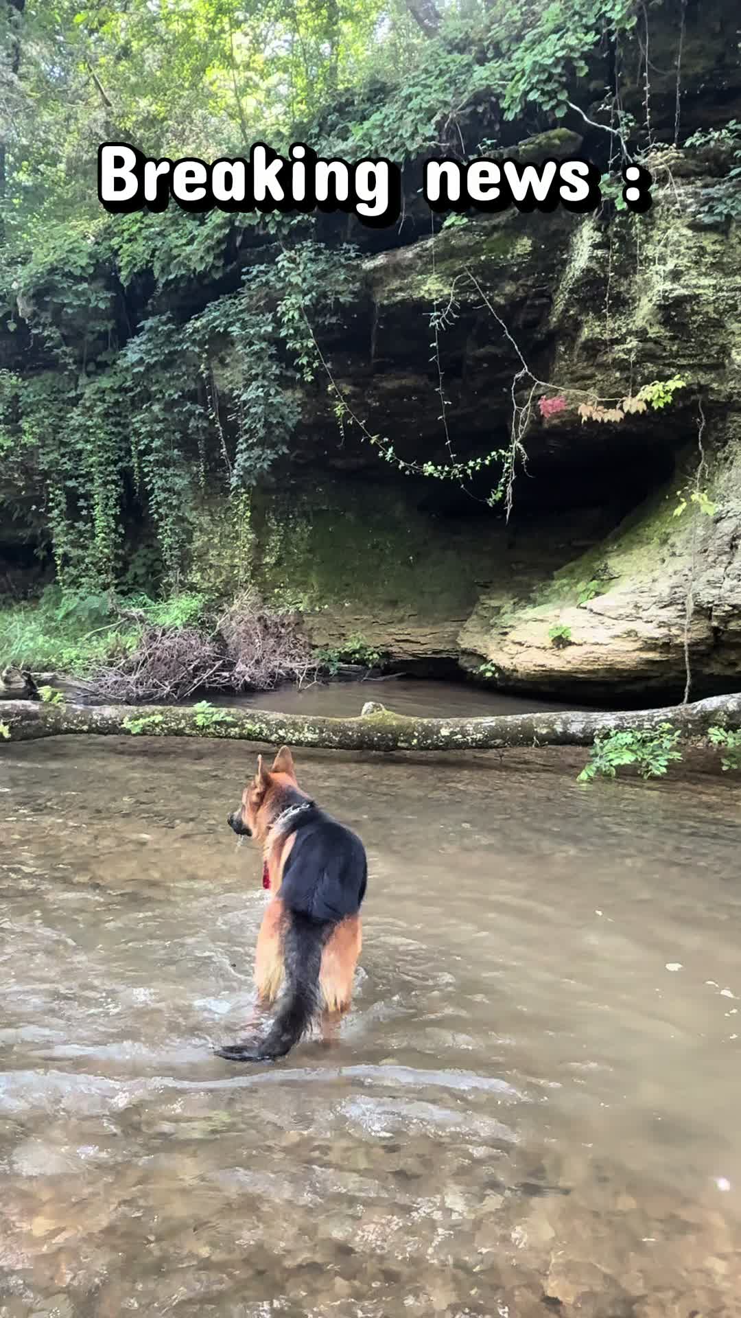 @Whiskeys Trails
