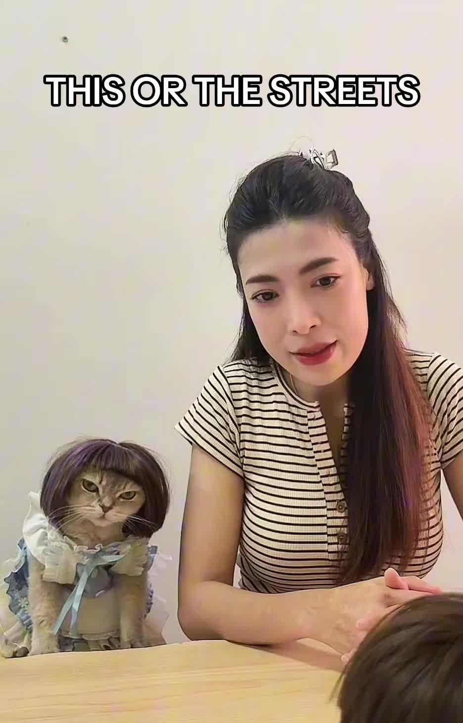 @Wheems