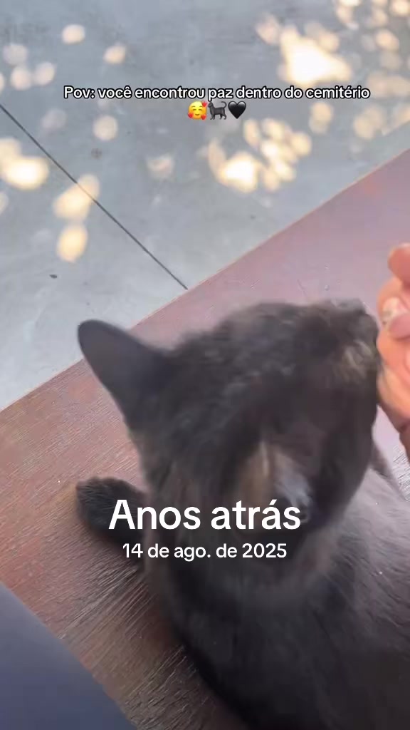 @Luana Moura