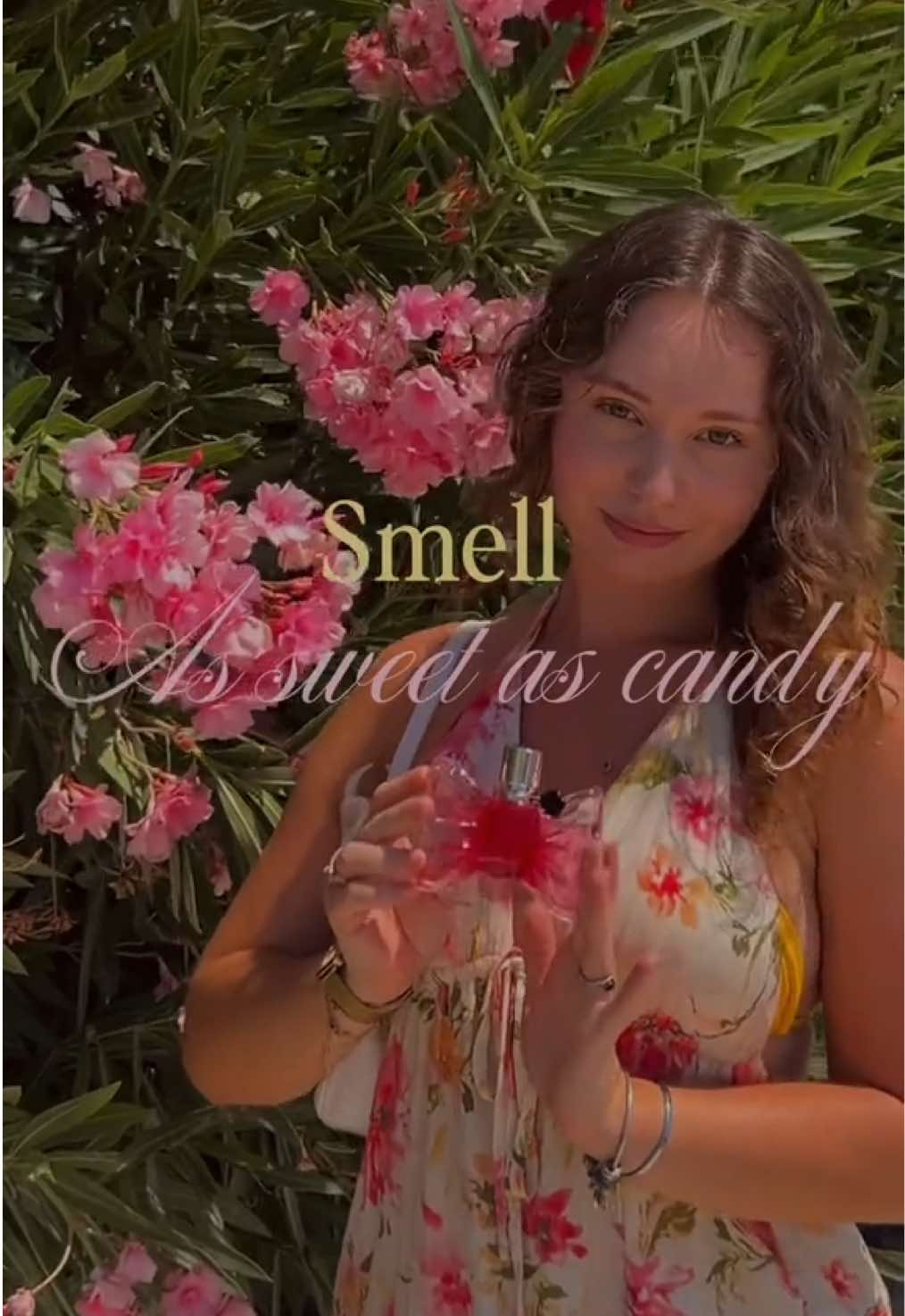 @aimaryllis_