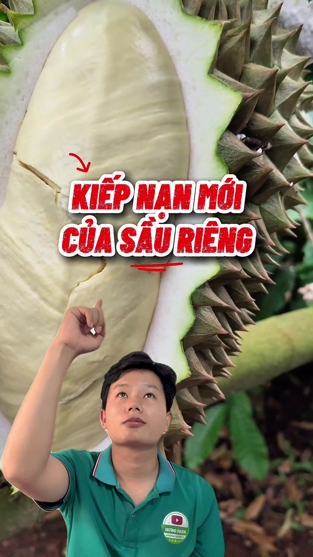 @Hộ Kinh Doanh Hào - Hưng