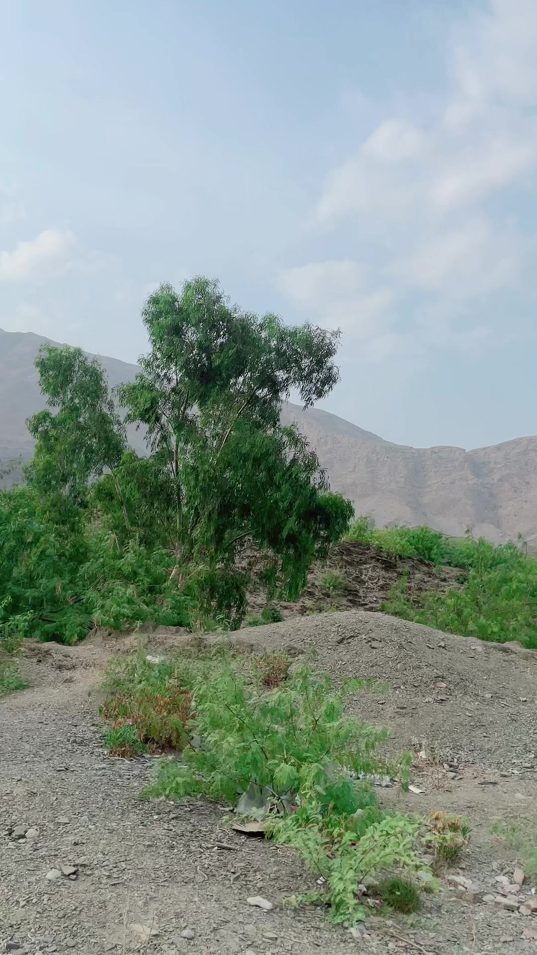@GUL ZAIB 302