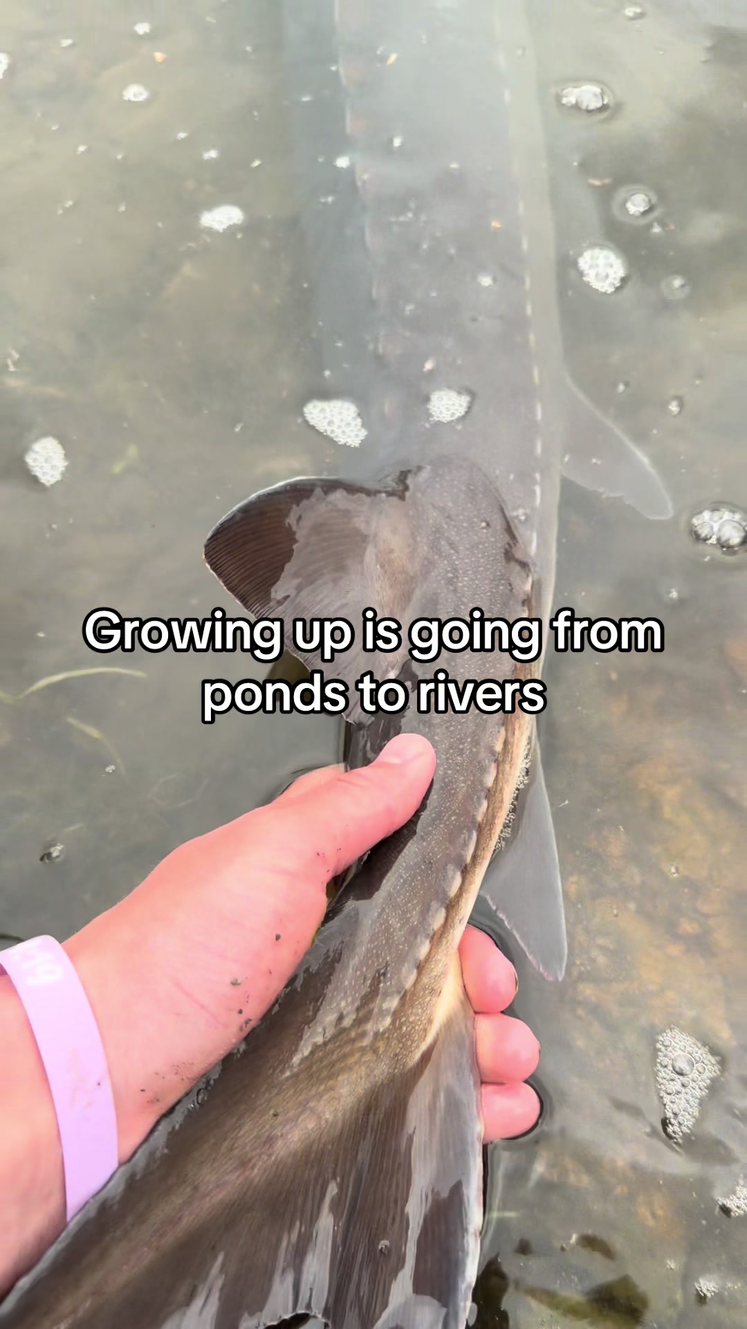 @FattBassFishing