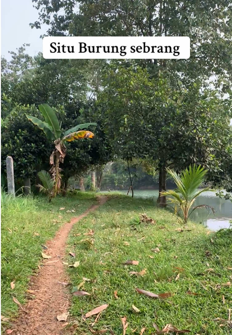 @Bang Fajri 🎣