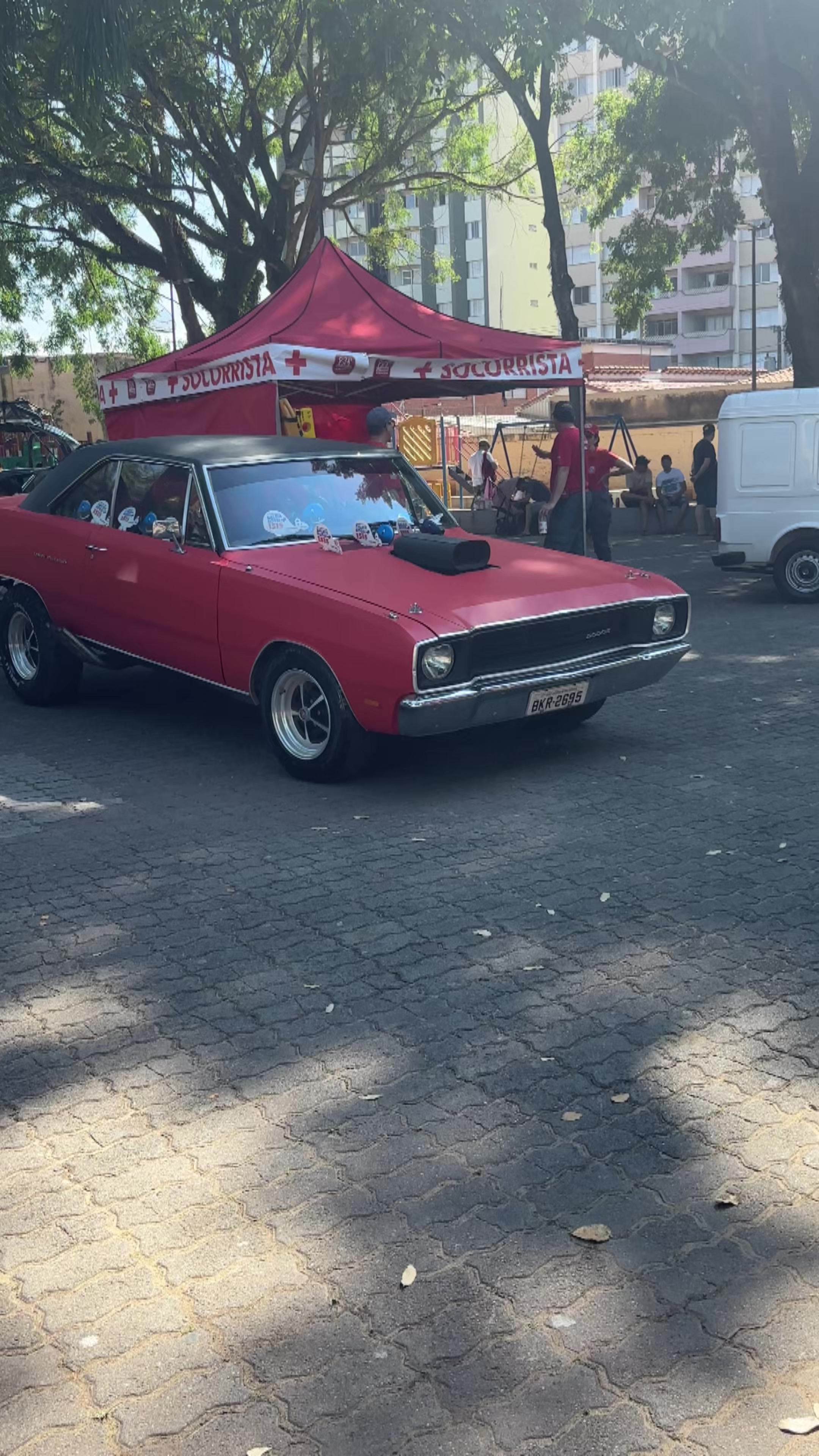 @Gabi Purcino