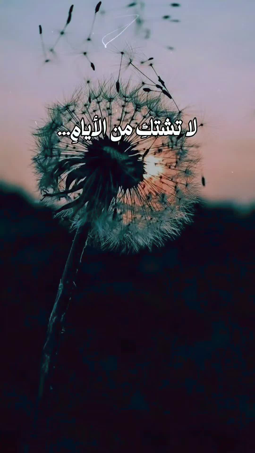@جلال الدين الرومي