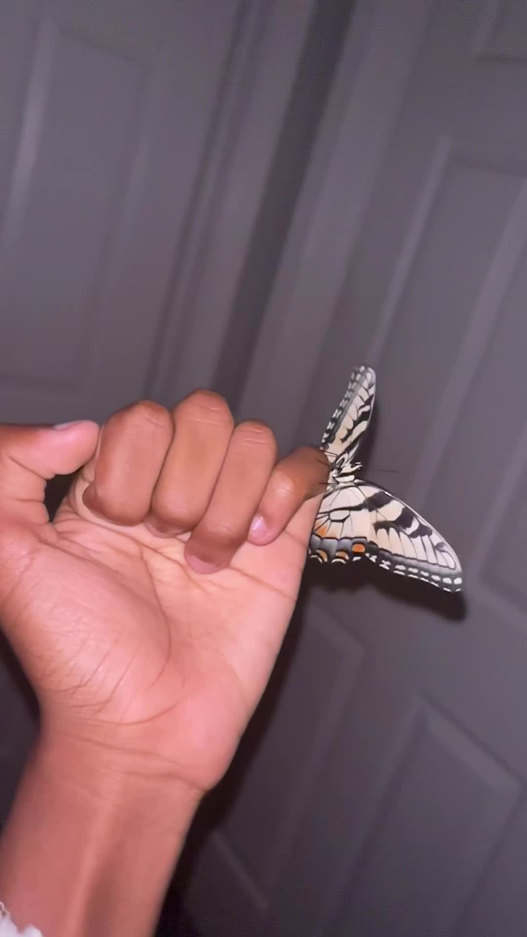 @Blakeee_Butterfl1y
