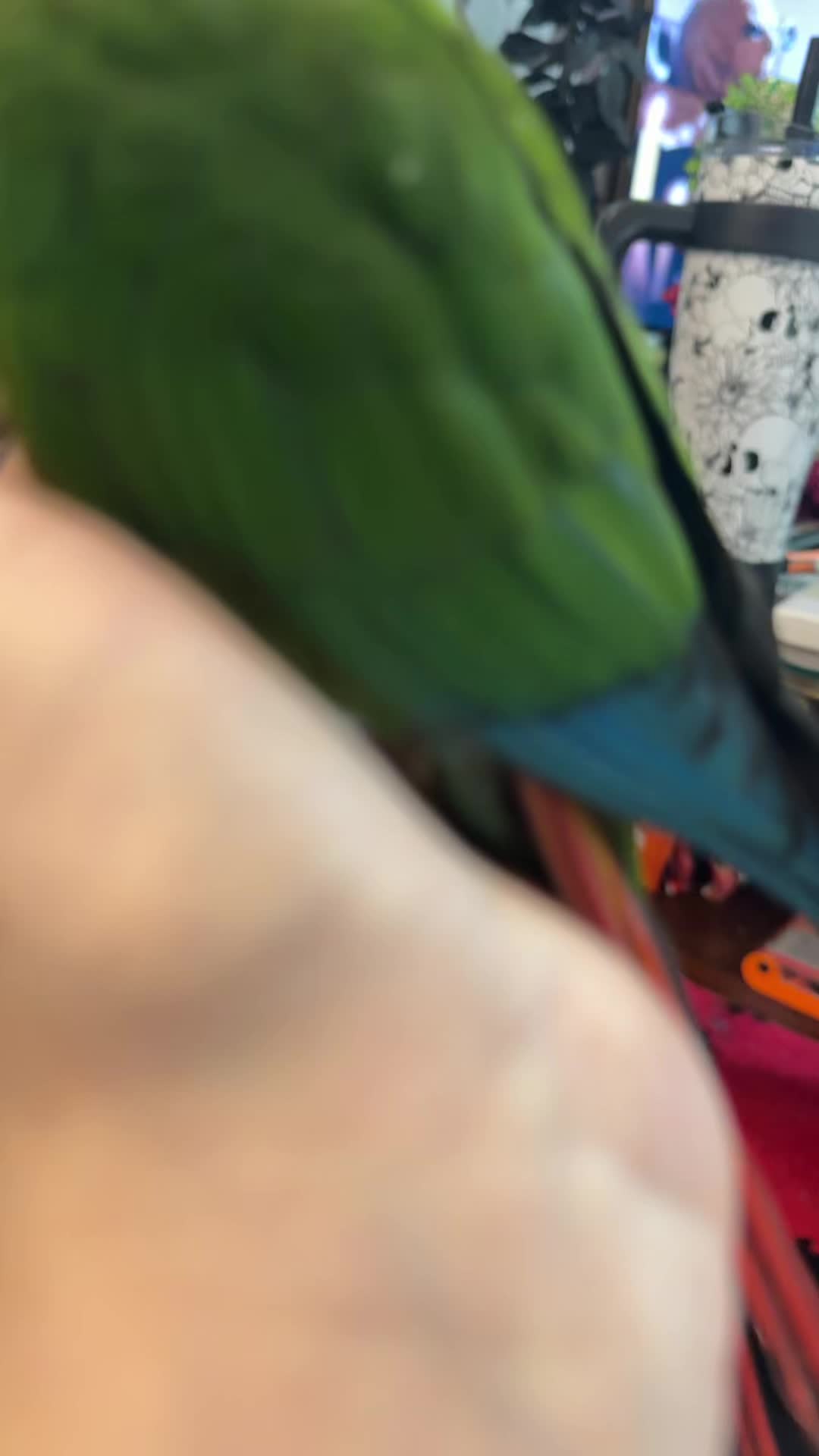 @birdgirl411