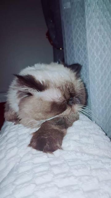 @🇹🇷😻PABLO🇹🇷😻