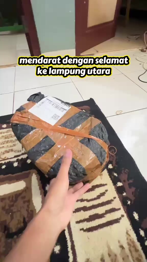 @Akmal Bani Faqih