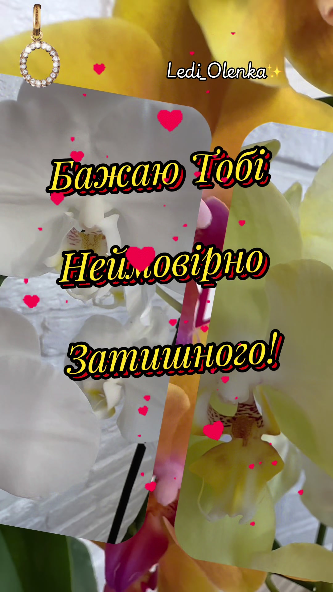 @✨🤍ОрХіДеЯ🤍✨🌟Одна така🌟