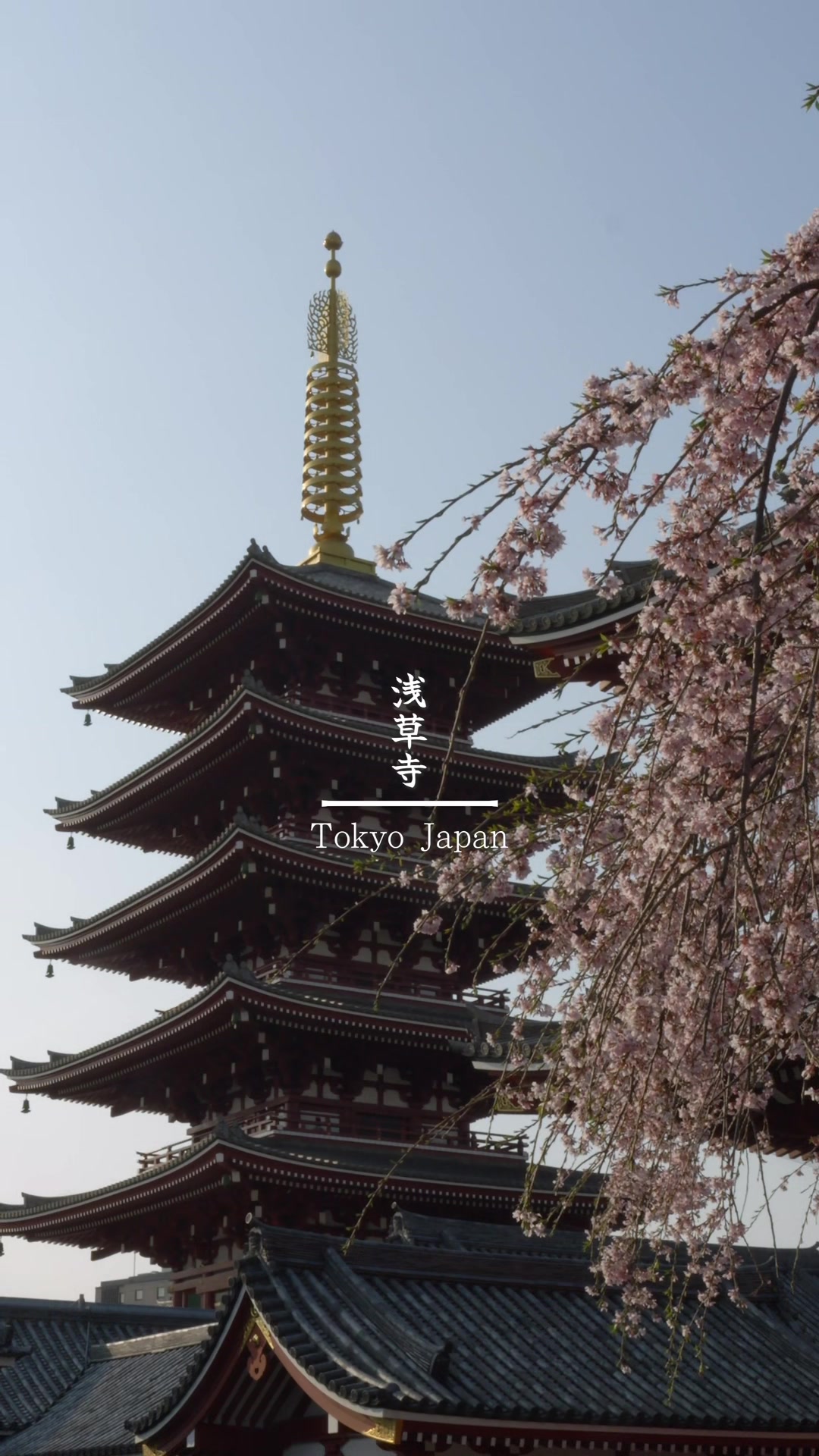 @s.hayata_tabikura