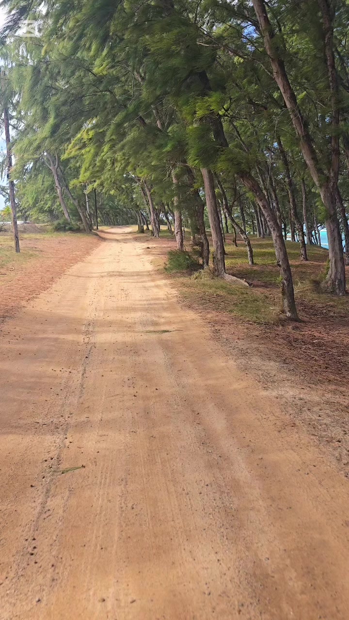 @Anil Adess Kumar