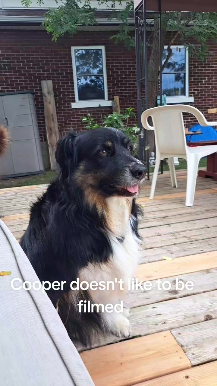 @EVE(dogmom)