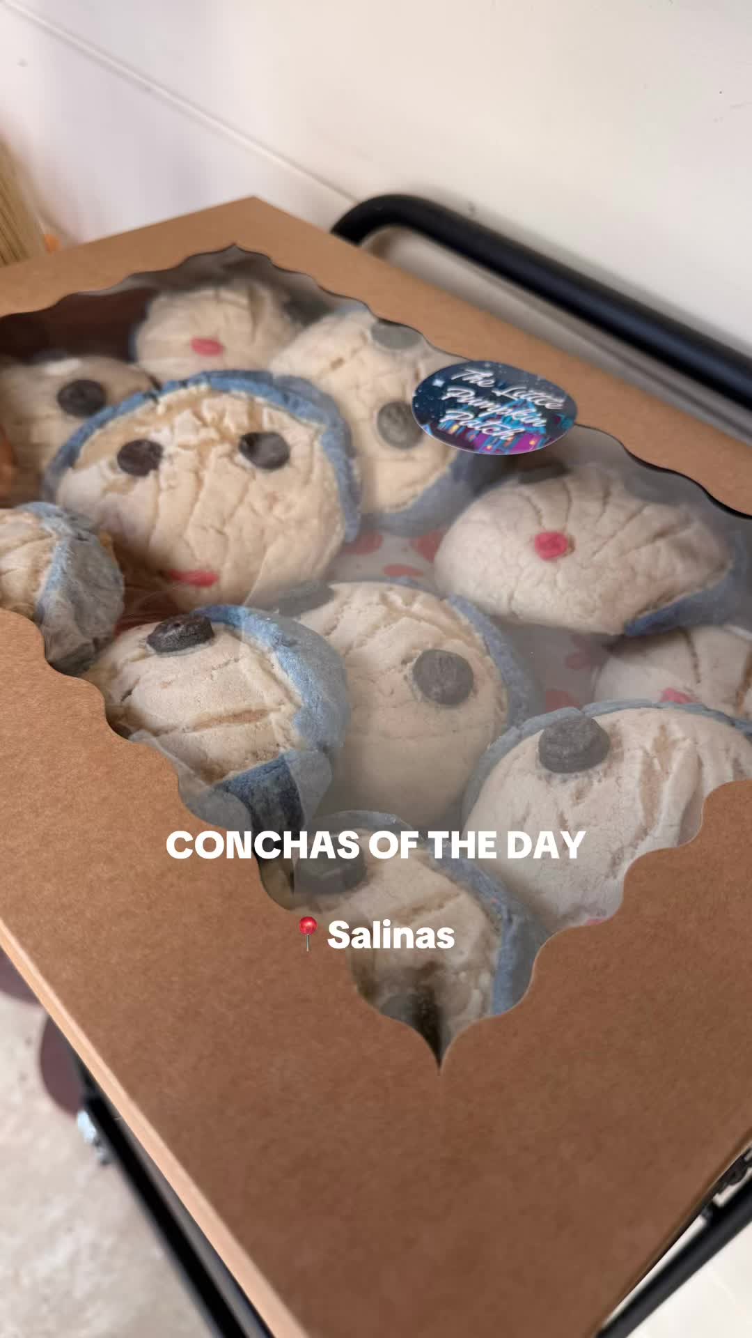@C A L Y S S A ๐๐