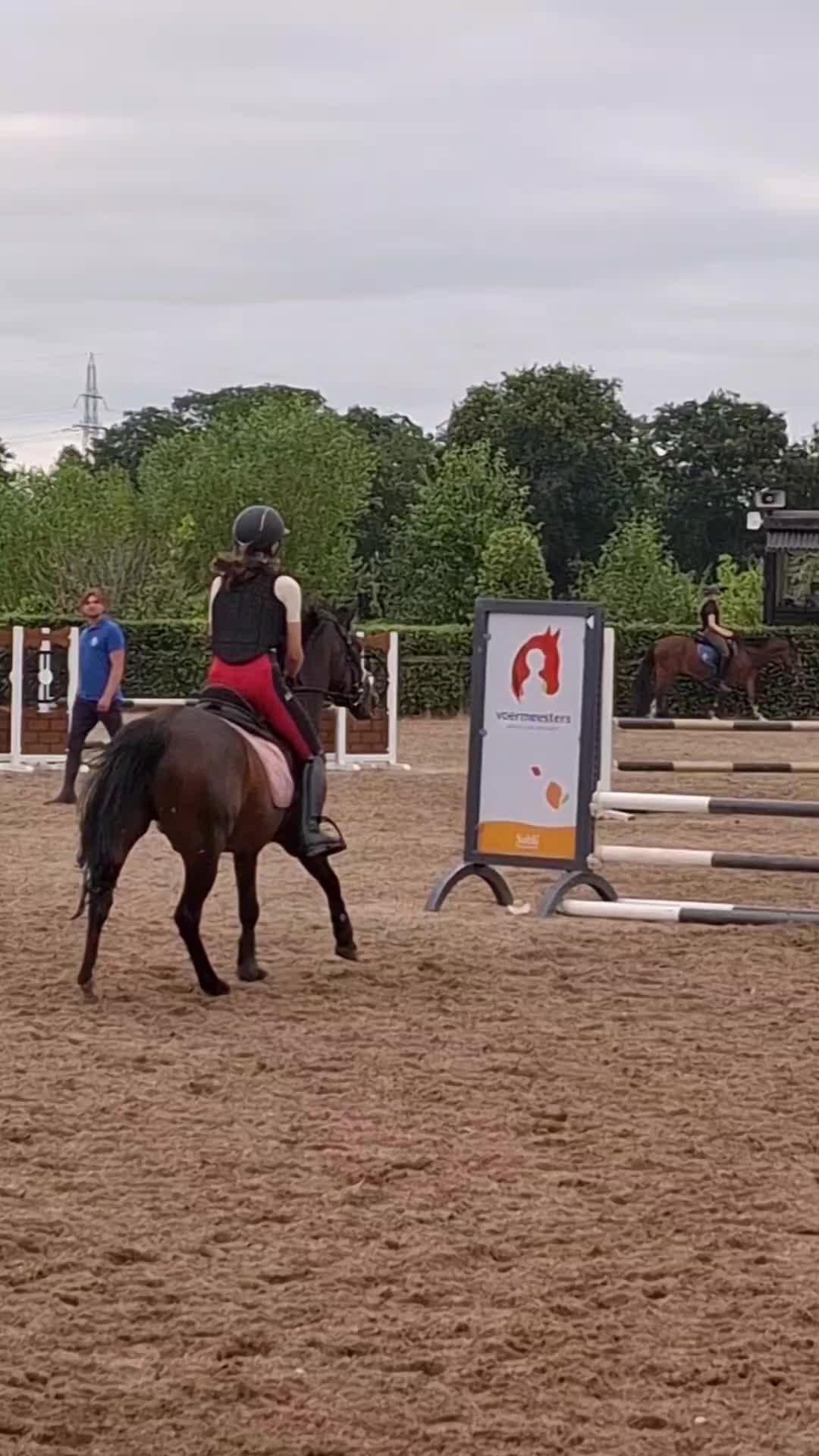 @horses.by.Britt:)