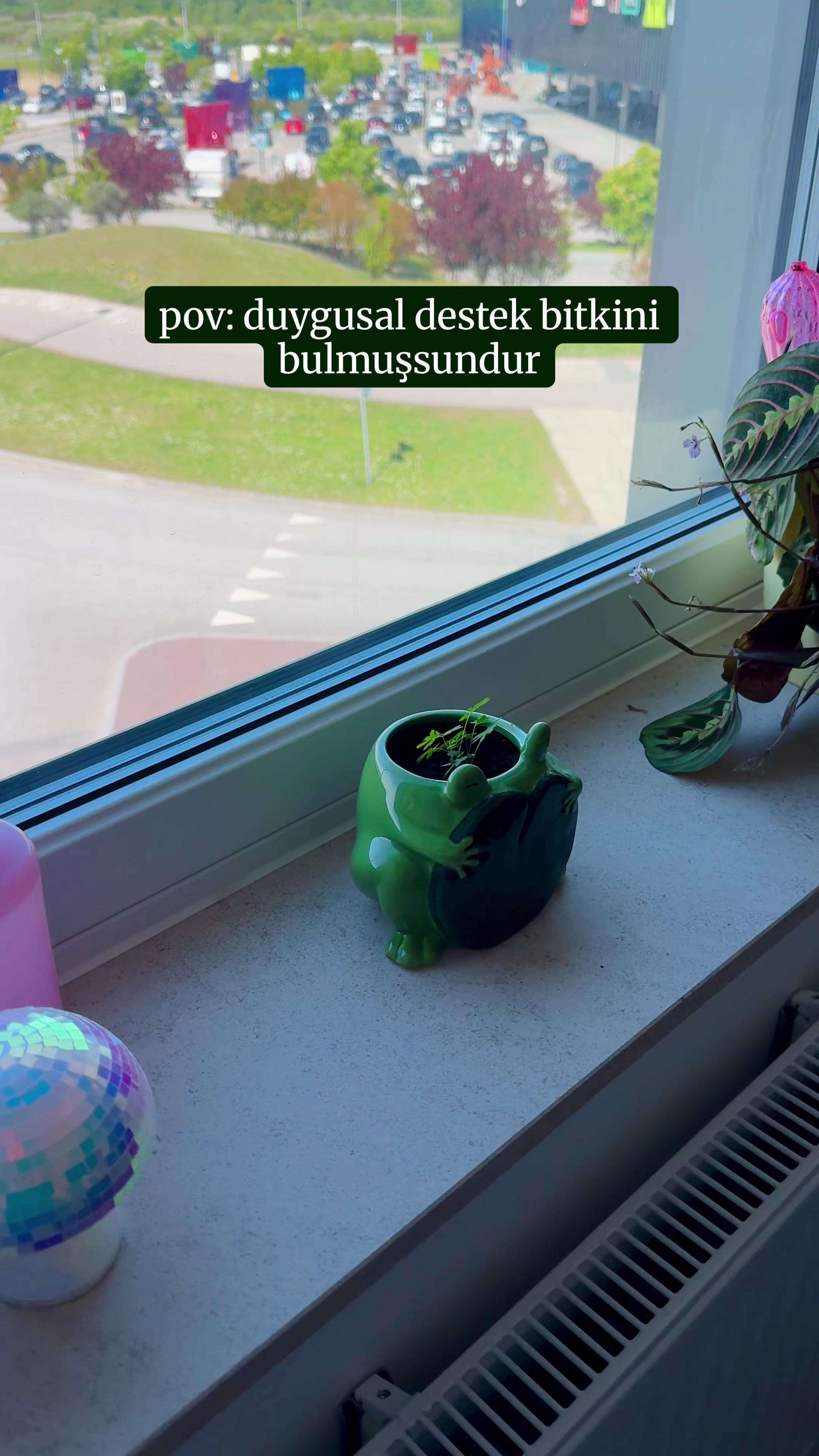 @Peyzaj Mimarı Buse 🍀