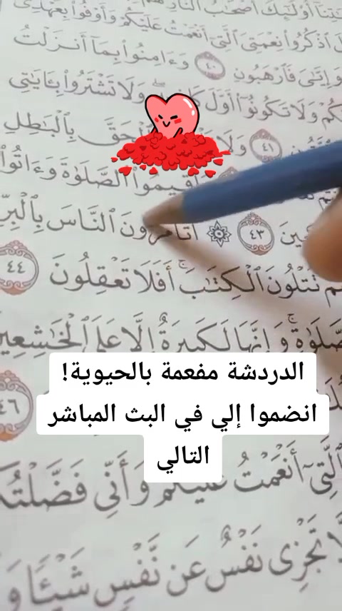 @مع أميره تعلم قران وتجويد 🇪🇬