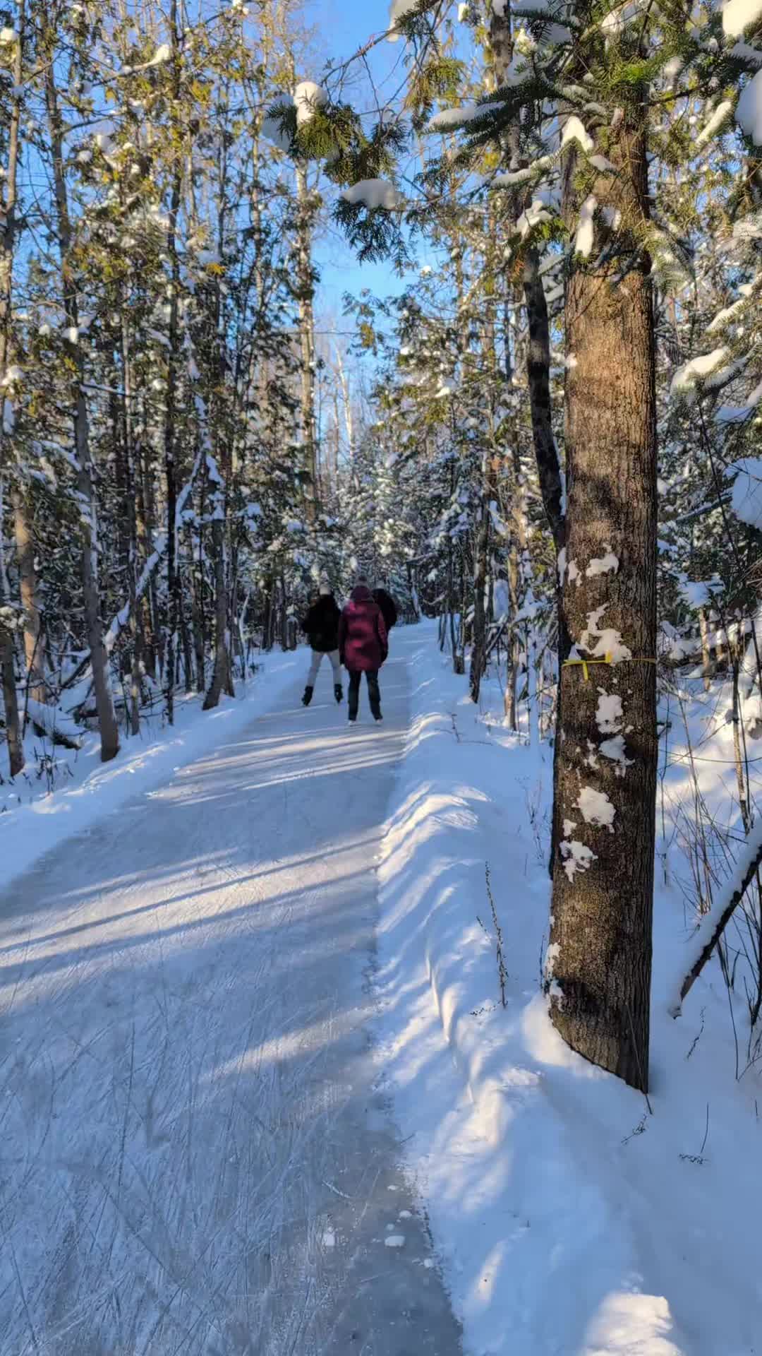 @Les sentiers d'&agrave; C&ocirc;t&eacute; ⛸️🌲
