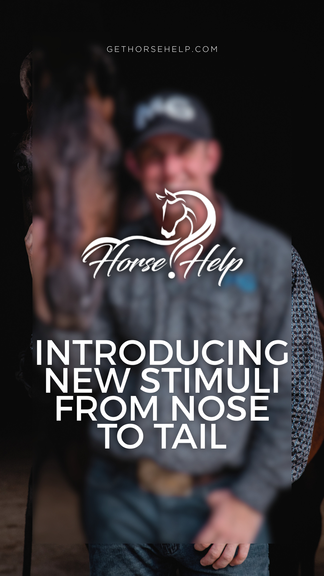 @Horse Help