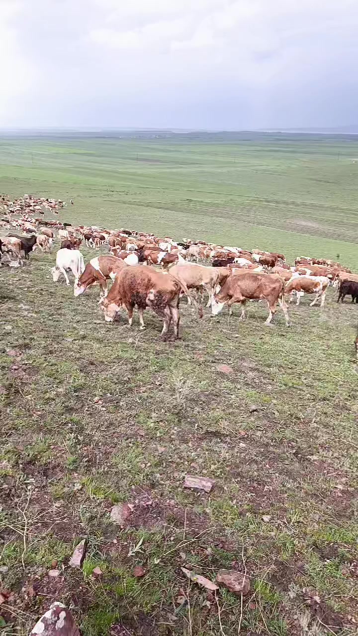 @FERHAT ÇUKU 76☀️