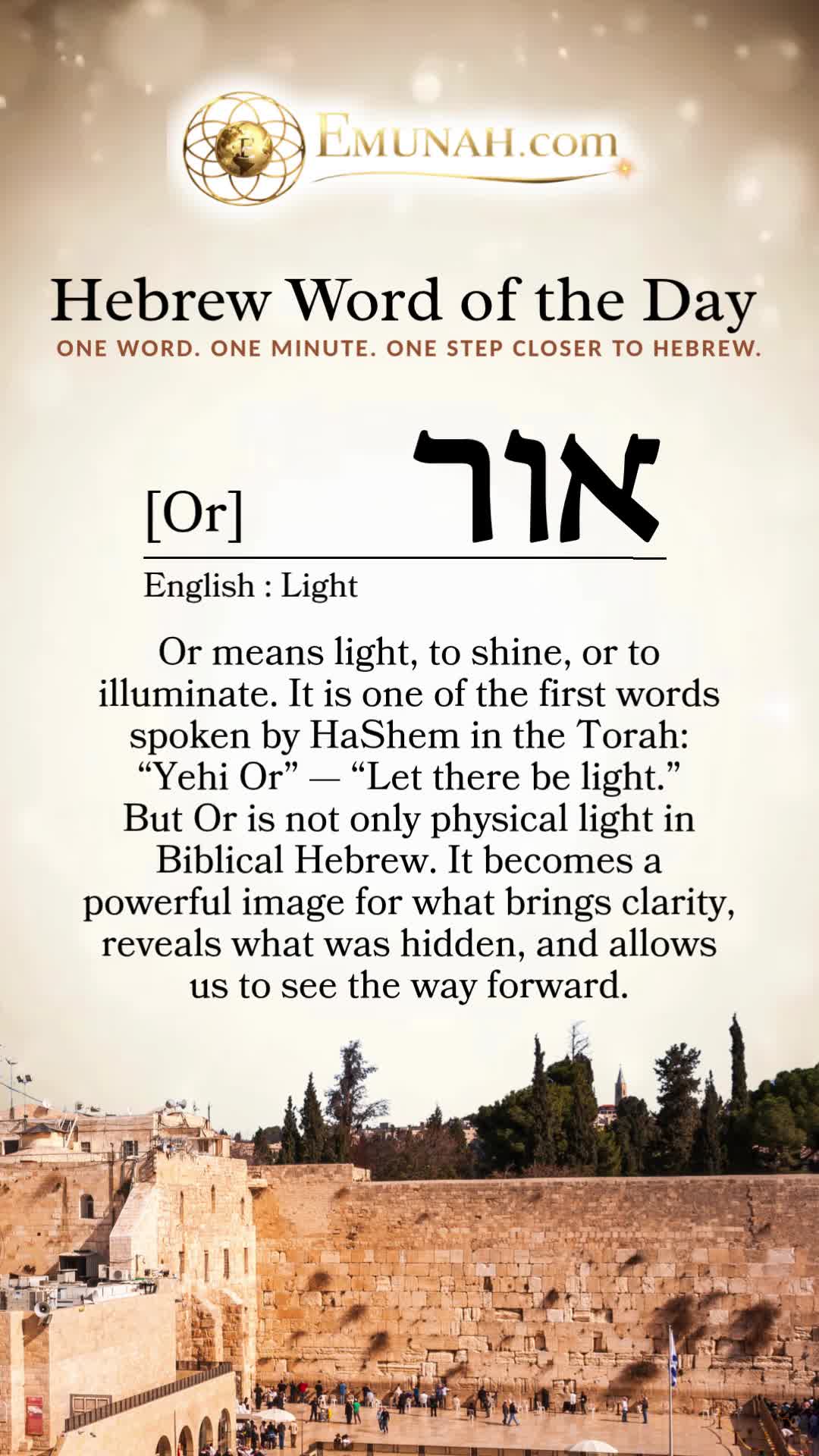 @Rav Dror