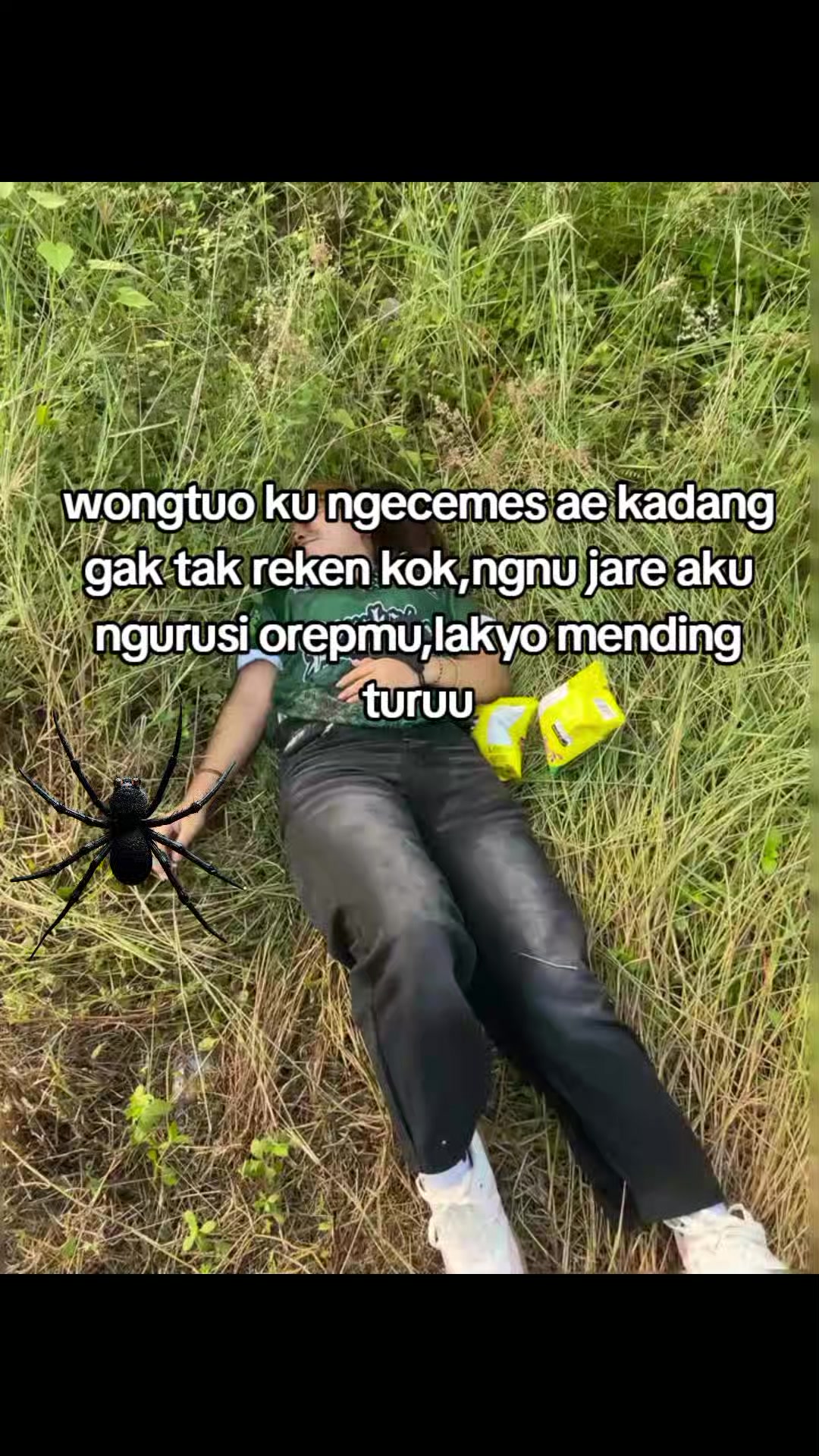 @adell